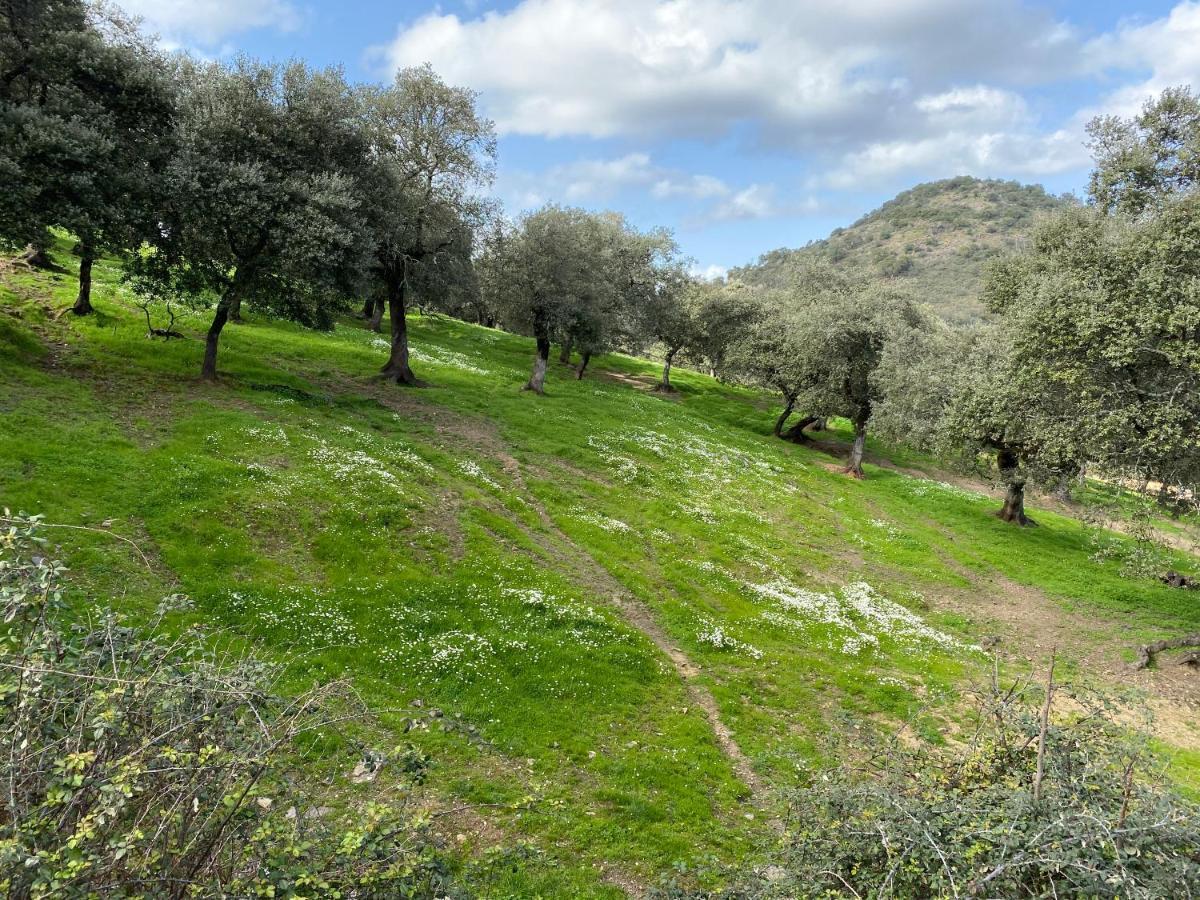 El Rincon De Aracena Villa Eksteriør billede